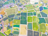 An aerial photo is showing fish ponds nestled between villages, fields, and rivers in Chongqing, China, on March 28, 2024. (