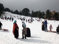 Snow on the Chréa National Park in Blida, Algeria, on March 14, 2016.
The national park is located 50km from the capital Algiers. It can be...