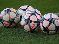 The official ball of the Women's UEFA Champions League is on the pitch during the match between FC Barcelona and SK Brann, which corresponds...