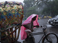 A Bangladeshi rickshaw puller makes his way through the rain in Dhaka, Bangladesh on May 28, 2016. (