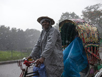 A Bangladeshi rickshaw puller makes his way through the rain in Dhaka, Bangladesh on May 28, 2016. (