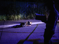 (EDITORS NOTE: Image depicts graphic content.) A police investigator inspects the corpse of a suspected drug addict and victim of a vigilant...