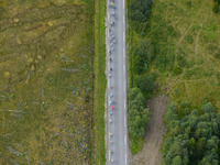 The peloton during the second stage of the Arctic Race of Norway, the 198.5km from Mo i Rana to Sandnessjoen.
On Friday, 12 August 2016, in...