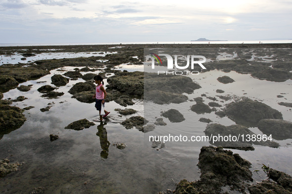 Hindang Leyte, Philippines - A girl searches for seashells during lowtide in Hindang, Leyte on June 12, 2013. On November 8, 2013, Haiyan, o...