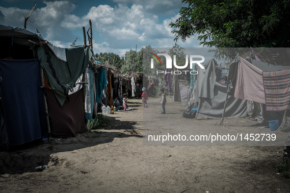 Refugees at a makeshift refugee camp on the Serbian side of the border with Hungary near the town of Horgos on August 12, 2016. 