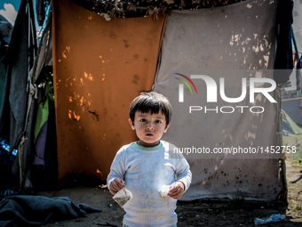 A boy at a makeshift refugee camp on the Serbian side of the border with Hungary near the town of Horgos on August 12, 2016. (