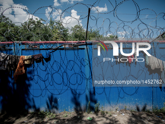 A makeshift refugee camp on the Serbian side of the border with Hungary near the town of Horgos on August 12, 2016. (