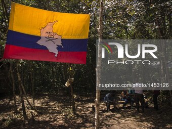 Flags of FARC EP at the savannah of Yarí, historical center of the oldest guerrilla in the World in Llanos del Yari, a town in an Indigenous...