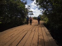 Path El Diamante  in the savannah of Yarí, where the 10th Conference of FARC EP is taking place  in Llanos del Yari, a town in an Indigenous...