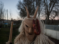 Portrait of the masquerade from Lazarim (Portugal), on Janaury 7, 2017. These solstice festivals, which have their origins in early Celtic c...