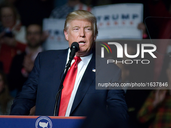 President-Elect Donald Trump gives a speech at a post-election Thank You Tour 2016, with Vice-President-Elect Mike Pence, one month before M...