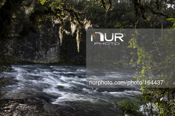 (140703) -- RIO GRANDE DO SUL, July 3, 2014 () -- Picture taken on July 2, 2014 shows a view of the Caracol Falls in the Municipality of Can...