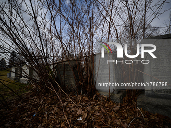 An overgrown and not maintained section of Mt. Carmel Jewish Cemetery in Northwest Philadelphia, PA, on Feb. 27, 2017. Over the weekend hund...