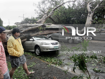 Makati City, Philippines - Men observe vehicles that were crushed by a tree near a private subdivision in Makati City as Typhoon Rammasun hi...