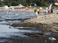 Sopot, Poland 17th, July, 2014 Due to the high temperature and flauta at sea, on the Sopot's Baltic Sea beach blue-green cyanobacteria algae...