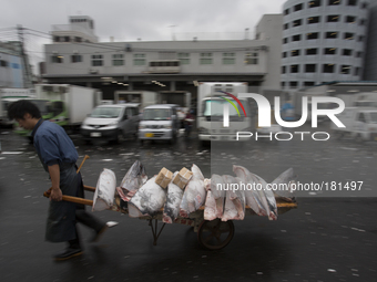 TOKYO, Japan A Tsukiji Fish Market employer drags a cart with Bluefin Tunas as the Tuna's audition ends at Tsukiji Fish Market on july 7, 20...