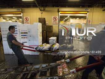 TOKYO, Japan A Tsukiji Fish Market employer drags a cart with Bluefin Tunas as the Tuna's audition ends at Tsukiji Fish Market on july 7, 20...