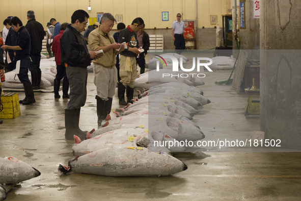 TOKYO, Japan on july 7, 2014. The Tsukiji fish market located in Tokyo, handling almost 3000 tons of fish per day, is the largest wholesale...