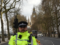 A police officer and a woman have been killed near Parliament in central London in what Scotland Yard are treating as a terrorist incident....