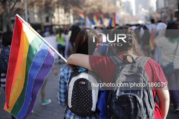 Crowds gather in Santiago de Chile to demand same sex adoption on Juliy 19, 2014. 