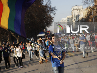 Crowds gather in Santiago de Chile to demand same sex adoption on Juliy 19, 2014. (