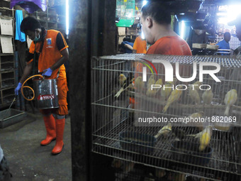 Officers of Marine Fisheries and Food Security spraying disinfectant in the barn where the bird traders at Pramuka market in Jakarta On Marc...