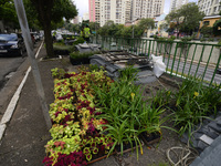 The Municipality of Sao Paulo, through the Secretariat of Green and Environment, began the installation of the 'Green Corridor' on Avenida 2...