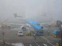 Various images during a misty day inside the airport terminal, the gates, outside of the terminal and the apron with various airplanes and a...