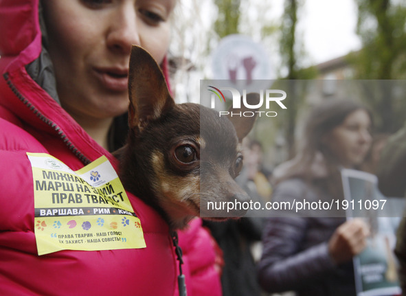 Ukrainian activists with dogs carries posters, as they attend the International march for animal rights in center of Kiev, Ukraine, 22 April...