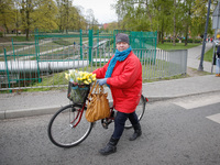 A woman is seen walking her bike with a basket full of tulips in Bydgoszcz, Poland on 22 April, 2017. (