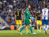 Jan Oblak during the match between RCD Espanyol vs Atletico Madrid, for the round 33 of the Liga Santander, played at RCD Espanyol Stadium o...