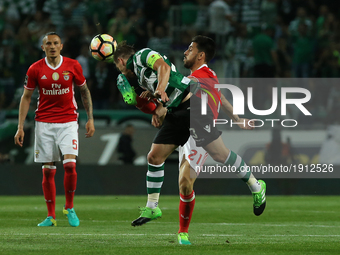 Benficas midfielder Pizzi from Portugal (B) and Sportings midfielder Adrien Silva from Portugal (F) during Premier League 2016/17 match betw...