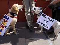 Dogs wearing signs during the March for Science in Los Angeles, California on April 22, 2017. The event which coincides with Earth Day was h...