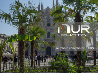 Milan's chathedral, known as 'Duomo' is seen with the brand new palm trees in a sunny Sunday morning in Milan, on April 23, 2017. The brand...