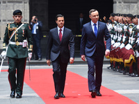 Polish President Andrzej Duda and Mexican President Enrique Pena Nieto are seen during welcoming ceremony at National Palace  (