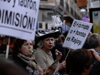 Protestors take the streets during a demonstration against the Spanish government  after allegations emerged against the President of corrup...