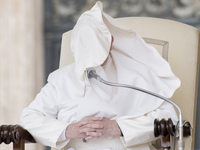 A gust of wind blows the mantle of Pope Francis as he delivers his speech during his weekly general audience in St. Peter square at the Vati...