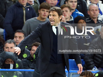 Chelsea manager Antonio Conte 
during the Premier League match between Chelsea and Southampton at Stamford Bridge, London, England on 25 Apr...
