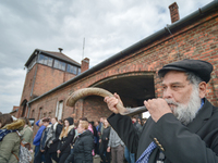 A man blows the shofar during the annual March of the Living. 
Jewish people from Israel and around the world marched the 3km route from Aus...