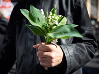 A man holds a bouquet of lilys of the valley. More than 10 000 people took to the streets for the rally of May Day in Toulouse, France, on 1...
