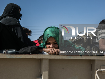 A child rests her head on the side of one of the many Iraqi army trucks that are being used to transport the large amount of fleeing civilia...