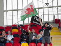 Welsh supporters pictured during the Guinness PRO12 Semi-Final match between Munster Rugby and Ospreys at Thomond Park Stadium in Limerick,...