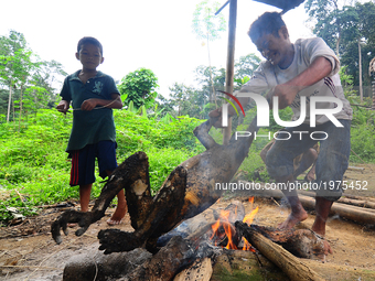 A young boy placed a silvery lutung above campfire to burn the fur before they cut it into pieces in a rural village in Malaysia on 23 May 2...