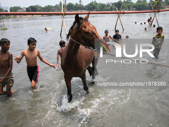 Boys are bathing a horse on the Buriganga River during the hot weather in Dhaka, Bangladesh, on May 24, 2017.  (
