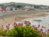 The construction of the grand stand seatting starts on Bray seafront promenade ahead of this summer Fun Fair, The Bray Air Dispay and other...