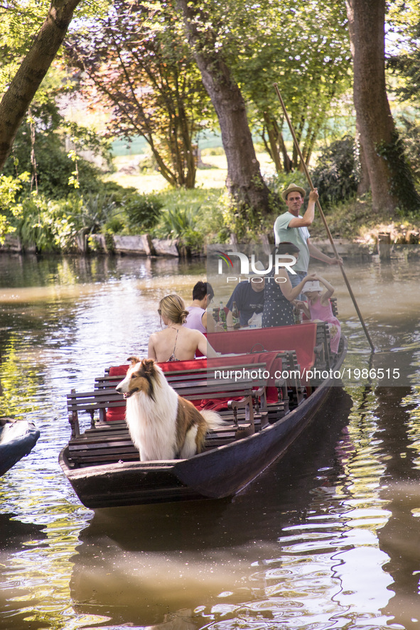 Visitors enjoy the sunny weekend day on a boat in a canal in Luebbenau in the region of the Spreewald, Germany on May 27, 2017.  The Spreewa...