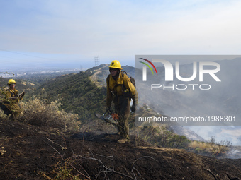 Firefighters battle a wildfire in Mandeville Canyon in Los Angeles, California on May 28, 2017. More than 150 firefighters battle the fire t...