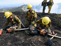 Firefighters battle a wildfire in Mandeville Canyon in Los Angeles, California on May 28, 2017. More than 150 firefighters battle the fire t...