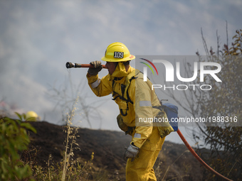Firefighter battles a wildfire in Mandeville Canyon in Los Angeles, California on May 28, 2017. More than 150 firefighters battle the fire t...