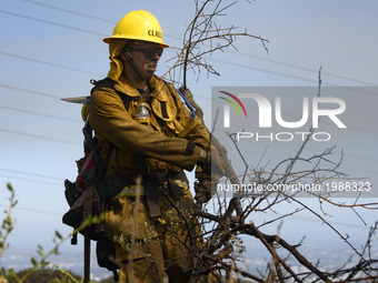 Firefighter clears dry brush while fighting a wildfire burning in Mandeville Canyon near the Getty Center in Los Angeles, California on May...